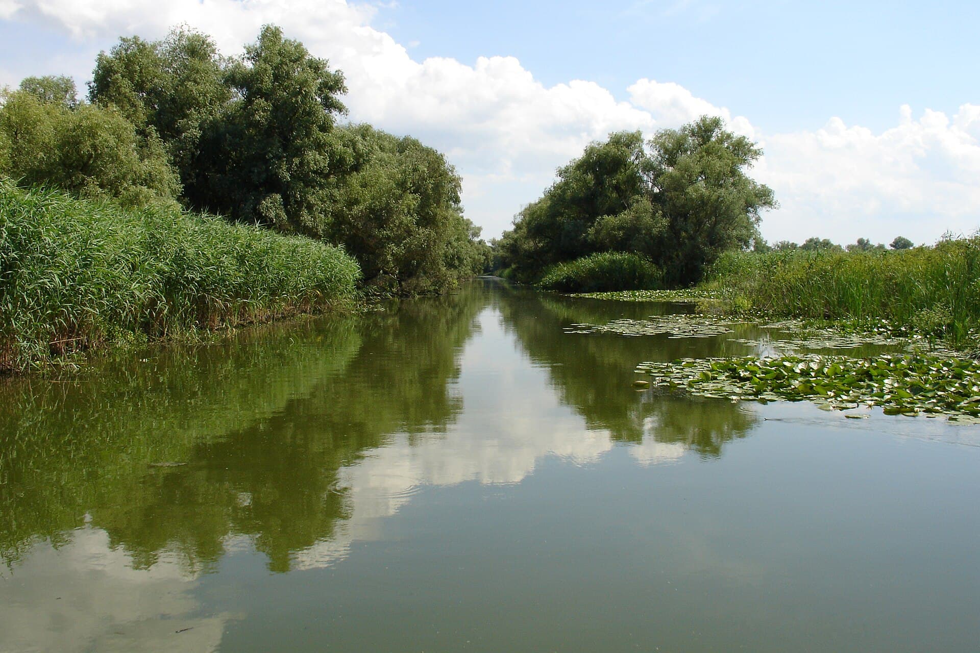 Sinteza zilei, 26 iulie: O nouă dronă doborâtă în Delta Dunării (Foto: MarO2 / Public domain, Wikimedia Commons)