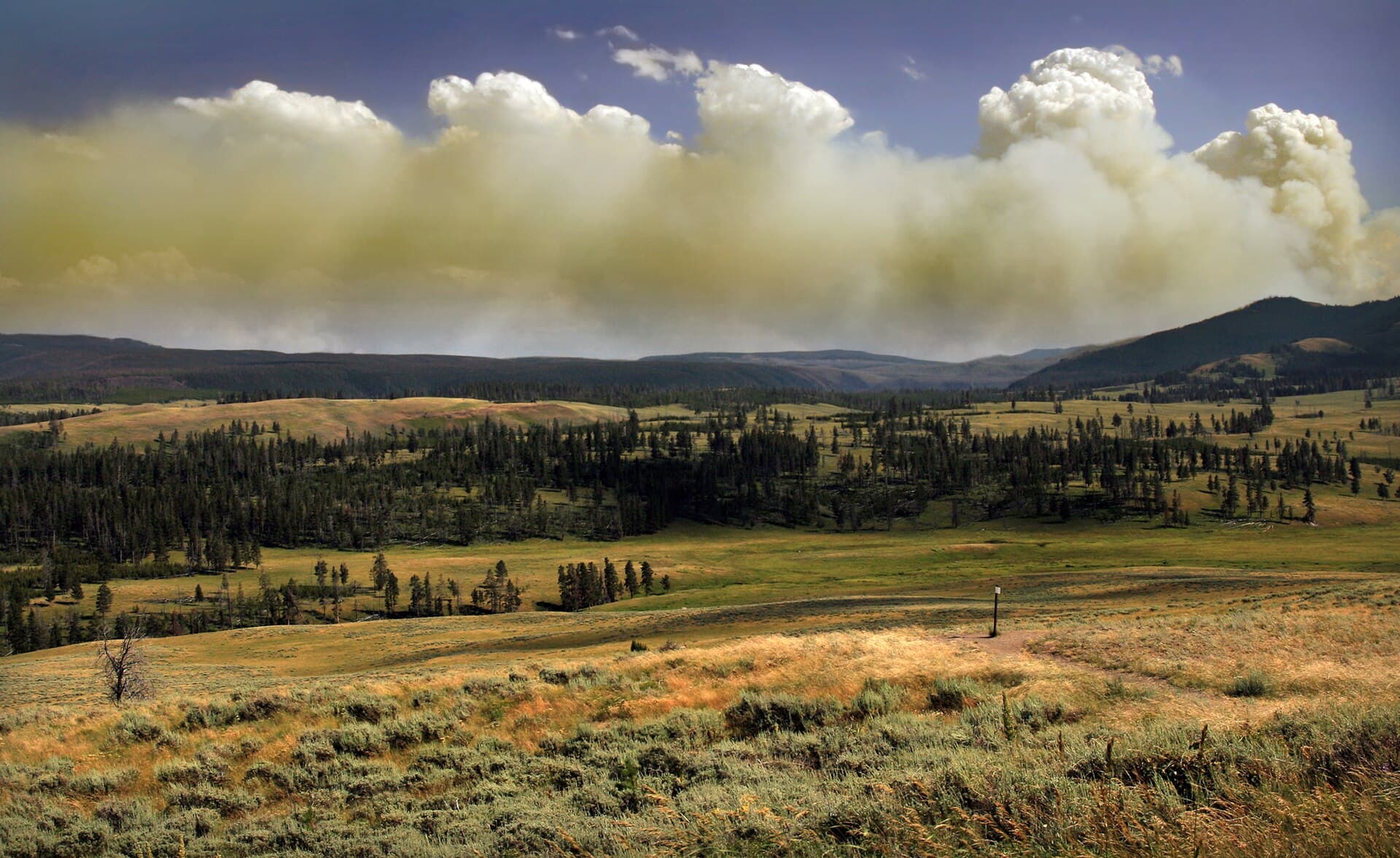 Peisaj de deal și pădure peste care se ridică un nor mare de fum, sugerând un incendiu forestier. (Foto de arhivă: Brocken Inaglory / CC BY-SA 3.0, Wikimedia Commons)