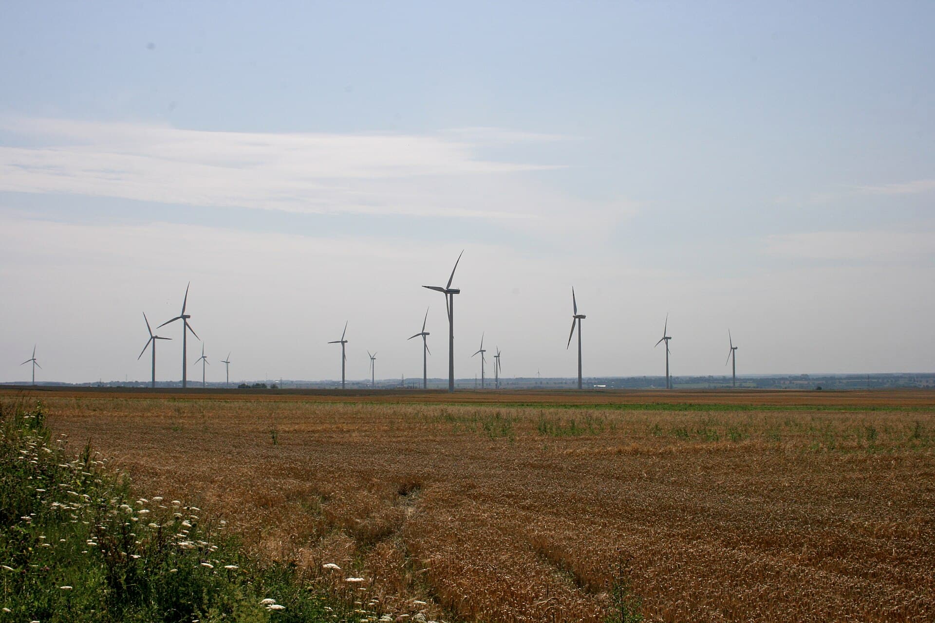 Un parc eolian cu numeroase turbine amplasate pe un câmp agricol. (Foto: Photograph by Mike Peel ( www.mikepeel.net ). / CC BY-SA 4.0, Wikimedia Commons)
