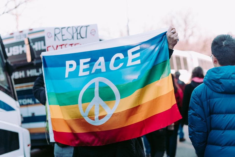 Un grup de persoane la un protest, ținând un steag multicolor cu simbolul păcii și pancarte. (Foto ilustrativă: Alice Donovan Rouse / CC0 1.0, Openverse)
