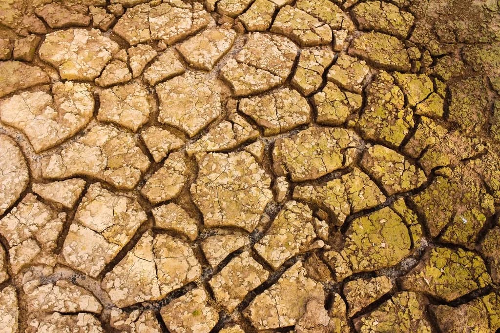 Sol crăpat și uscat, fotografiat de aproape, sugerând secetă și efecte climatice. (Foto ilustrativă: necunoscut / CC0 1.0, Openverse)
